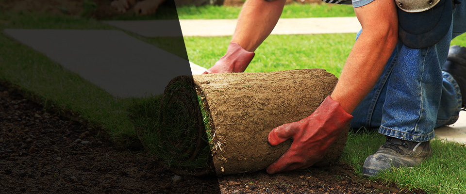 Conley Landscapers